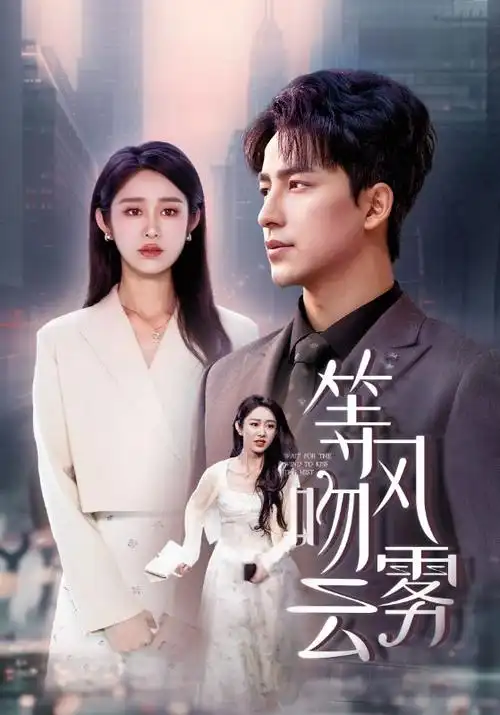 0855影视电视剧长夜灯火全集在线观看
